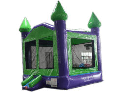 14ft x 14ft Green & Purple Bounce House